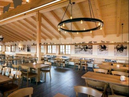 Foto: Schwanen K&amp;auml;lberbronn
